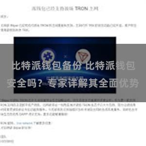 比特派钱包备份 比特派钱包安全吗？专家详解其全面优势