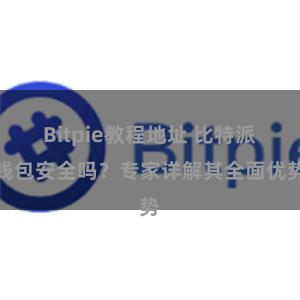 Bitpie教程地址 比特派钱包安全吗？专家详解其全面优势