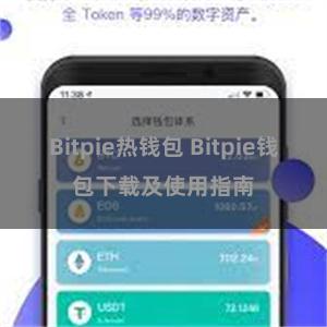 Bitpie热钱包 Bitpie钱包下载及使用指南