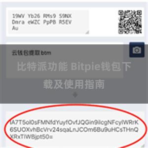 比特派功能 Bitpie钱包下载及使用指南