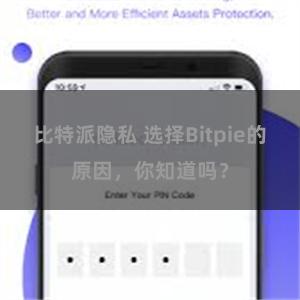 比特派隐私 选择Bitpie的原因，你知道吗？