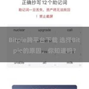 Bitpie跨平台下载 选择Bitpie的原因，你知道吗？