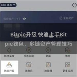 Bitpie升级 快速上手Bitpie钱包，多链资产管理技巧