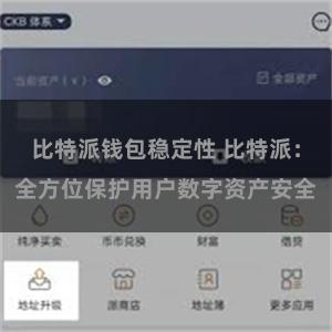 比特派钱包稳定性 比特派：全方位保护用户数字资产安全