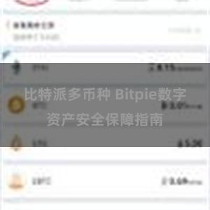 比特派多币种 Bitpie数字资产安全保障指南