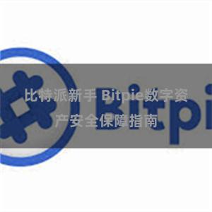 比特派新手 Bitpie数字资产安全保障指南