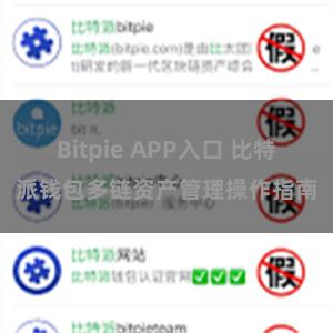 Bitpie APP入口 比特派钱包多链资产管理操作指南