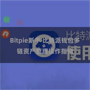 Bitpie新手 比特派钱包多链资产管理操作指南