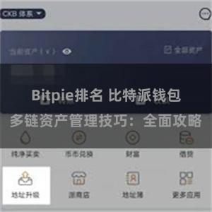 Bitpie排名 比特派钱包多链资产管理技巧：全面攻略