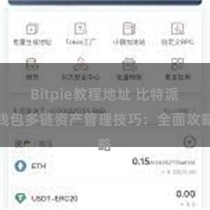 Bitpie教程地址 比特派钱包多链资产管理技巧：全面攻略