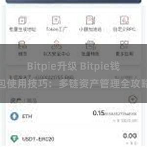 Bitpie升级 Bitpie钱包使用技巧：多链资产管理全攻略