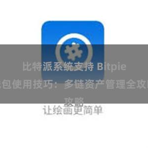 比特派系统支持 Bitpie钱包使用技巧：多链资产管理全攻略