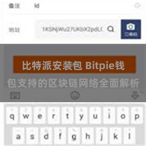 比特派安装包 Bitpie钱包支持的区块链网络全面解析