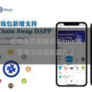 比特派交易指南 Bitpie钱包常见问题解决方法