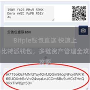 Bitpie钱包直连 快速上手比特派钱包，多链资产管理全攻略