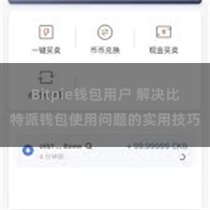 Bitpie钱包用户 解决比特派钱包使用问题的实用技巧