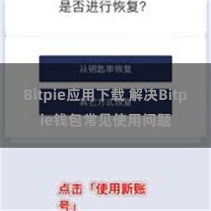 Bitpie应用下载 解决Bitpie钱包常见使用问题