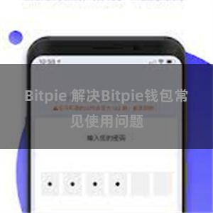 Bitpie 解决Bitpie钱包常见使用问题