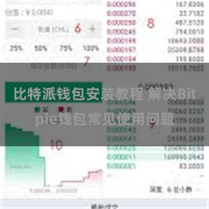 比特派钱包安装教程 解决Bitpie钱包常见使用问题