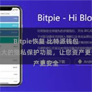 Bitpie恢复 比特派钱包：强大的隐私保护功能，让您资产更安全