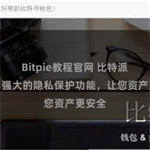 Bitpie教程官网 比特派钱包：强大的隐私保护功能，让您资产更安全