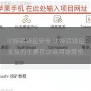 比特派钱包安全 比特派钱包支持的主要区块链网络解析