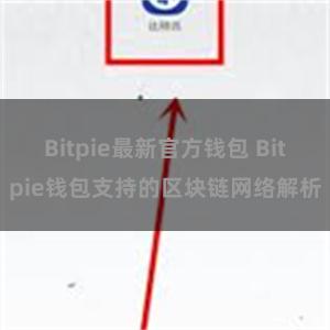 Bitpie最新官方钱包 Bitpie钱包支持的区块链网络解析