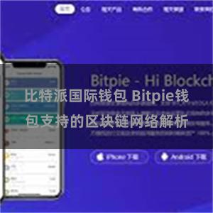 比特派国际钱包 Bitpie钱包支持的区块链网络解析