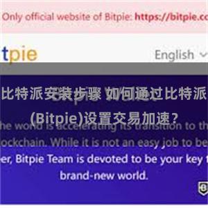 比特派安装步骤 如何通过比特派(Bitpie)设置交易加速？