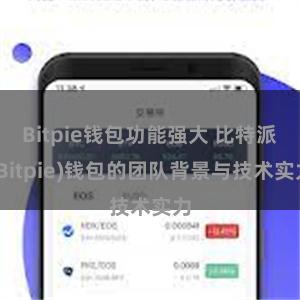 Bitpie钱包功能强大 比特派(Bitpie)钱包的团队背景与技术实力