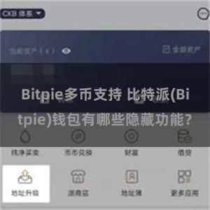 Bitpie多币支持 比特派(Bitpie)钱包有哪些隐藏功能？