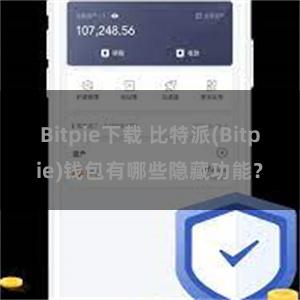 Bitpie下载 比特派(Bitpie)钱包有哪些隐藏功能？