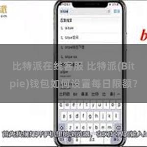 比特派在线客服 比特派(Bitpie)钱包如何设置每日限额？