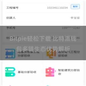 Bitpie轻松下载 比特派钱包多链生态优势解析