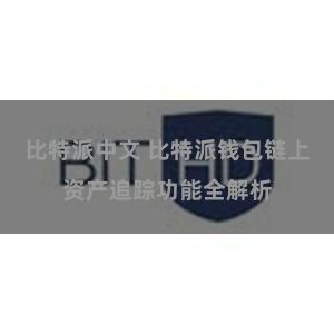 比特派中文 比特派钱包链上资产追踪功能全解析