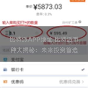 比特派APP地址 比特派币种大揭秘：未来投资首选