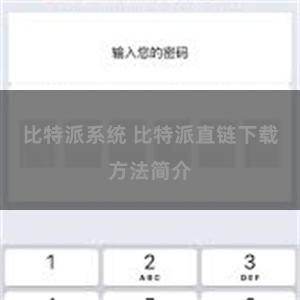 比特派系统 比特派直链下载方法简介