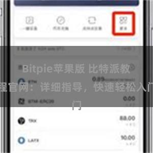 Bitpie苹果版 比特派教程官网：详细指导，快速轻松入门