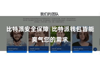 比特派安全保障  比特派钱包皆能爽气您的需求