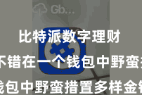 比特派数字理财  用户不错在一个钱包中野蛮措置多样金钱