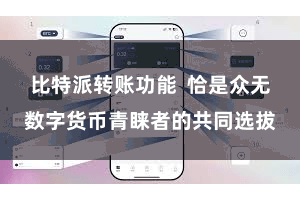 比特派转账功能  恰是众无数字货币青睐者的共同选拔