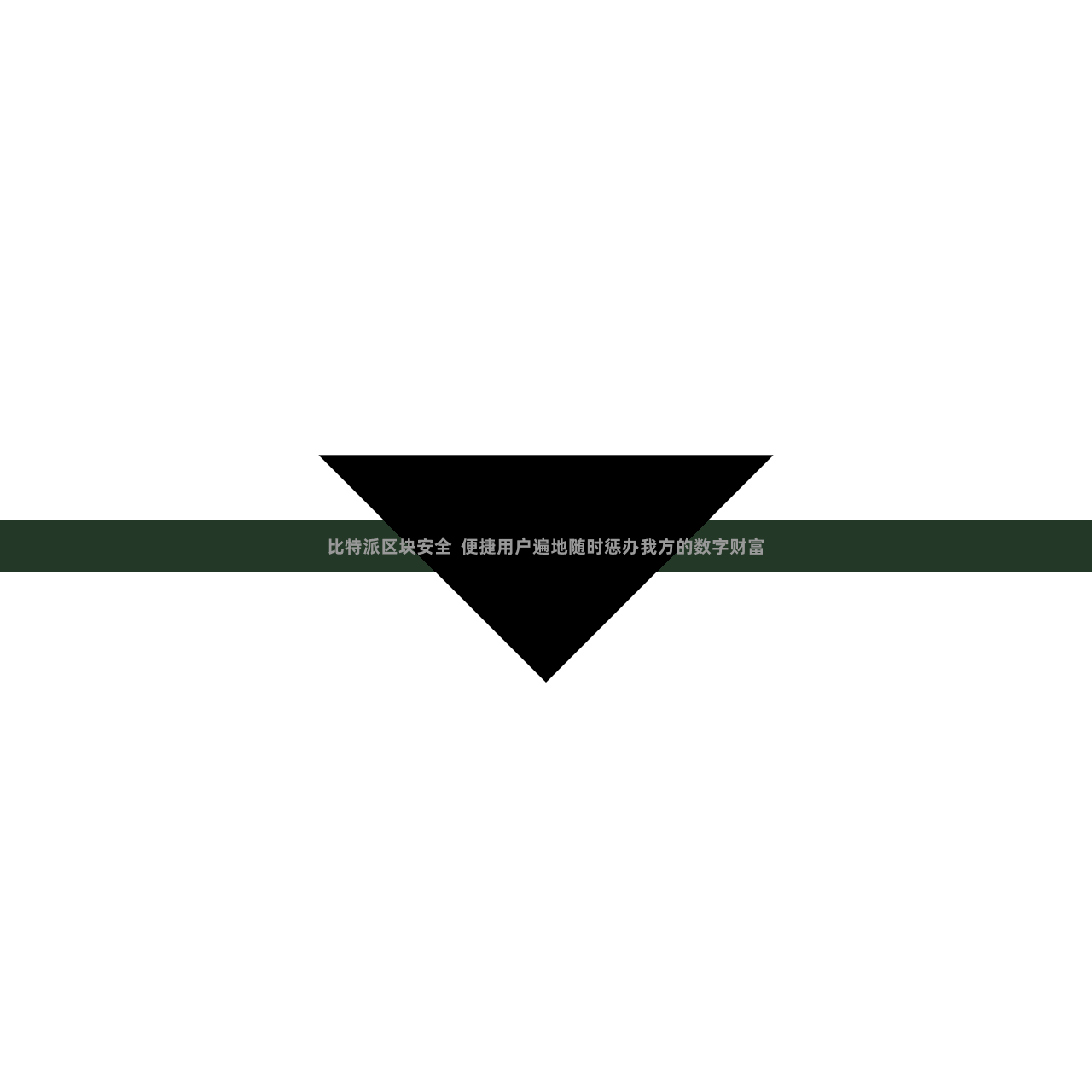 比特派区块安全  便捷用户遍地随时惩办我方的数字财富