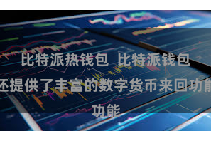 比特派热钱包  比特派钱包还提供了丰富的数字货币来回功能